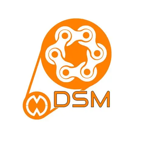 DSM logo 1